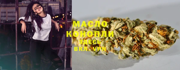 сатива Горнозаводск
