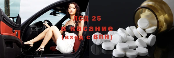 сатива Горнозаводск