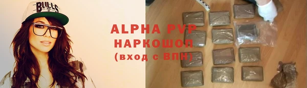 сатива Горнозаводск