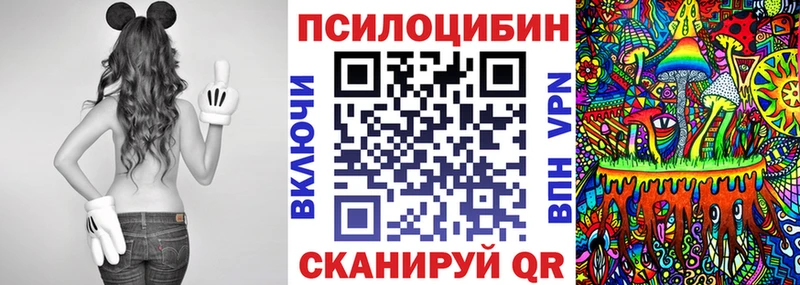 Купить  Киселёвск  Псилоцибиновые грибы мицелий 