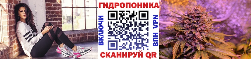 МАРИХУАНА план  Купить  Киселёвск 